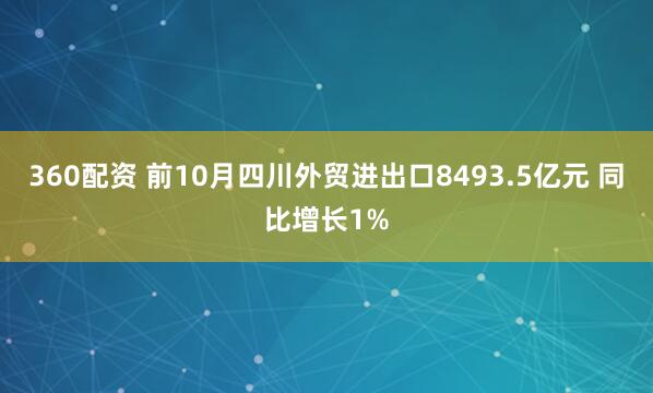 360配资 前10月四川外贸进出口8493.5亿元 同比增长1%