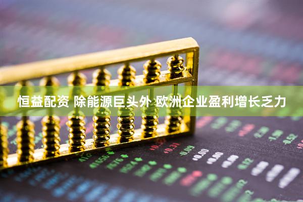 恒益配资 除能源巨头外 欧洲企业盈利增长乏力